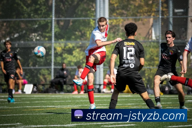 多媒体互动体验